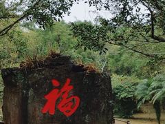-海口火山口国家地质公园