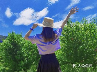 井陉农家乐|野外烧烤•摘樱桃•抓螃蟹