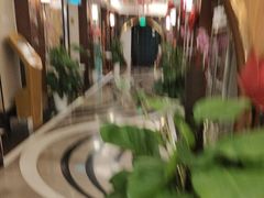 -汤泉良子.足疗按摩.SPA(中关村店)