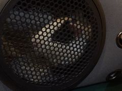 -北京观赏动物医院·24小时大型综合·猫专科·异宠专科