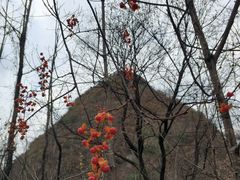 -黑河国家森林公园