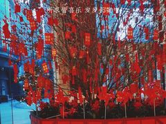 -上海雅居乐万豪侯爵酒店