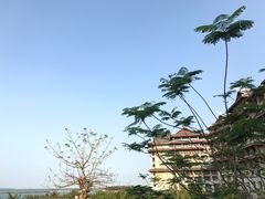 -海口万豪·大堂吧·望海吧.日落海景·下午茶·奶茶·咖啡·轻食·蛋糕·鸡尾酒·清吧