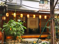-泡桐树街