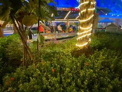 -喷泉广场餐厅·宵夜·海鲜烧烤大排档(长隆企鹅酒店)