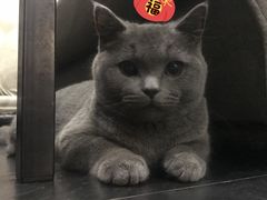 -吱咖啡西式简餐