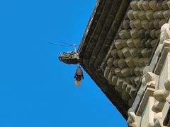 -修德寺塔