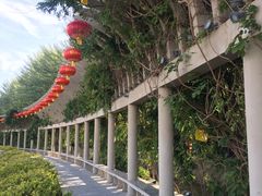 -党河风情线国家水利风景区