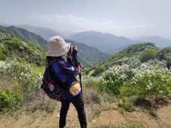 -秦岭风景区