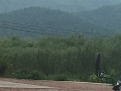 -大连冰峪旅游度假区