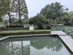 -青枫公园