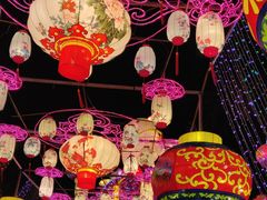 -欢乐海岸椰林沙滩-2025湾区超级灯会