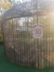 -萌宠亲子动物乐园(槐房万达店)