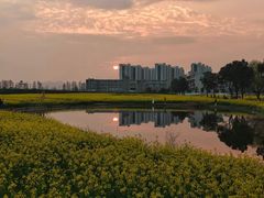 -临平南高铁站(地铁站)