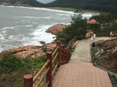 -广东惠东海龟国家级自然保护区