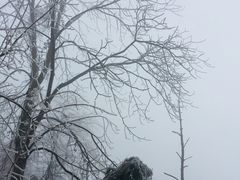 -九峰山