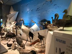 -贝林大翅鲸简餐厅(国家海洋博物馆店)