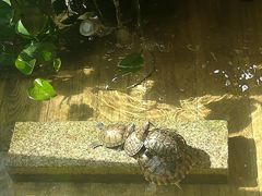 -尚味轩壹号饭堂(曼哈顿广场店)