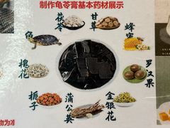 -梧州双钱龟苓膏(丽港航母店)