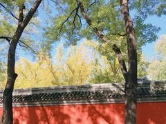 -北京国子监胡同