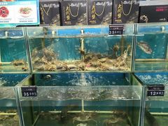 -物美超市(沙城店)