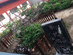 -曹州百花园