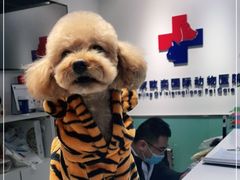 -欧奕国际动物医院