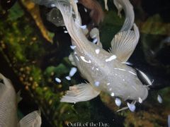 -太平洋海底世界