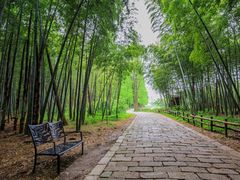 -同里国家湿地公园