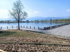 -野鸭湖国家湿地公园