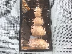 -BLACKSWAN黑天鹅(环球店)