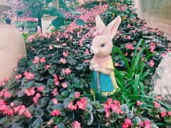 -陆地游轮西山温泉号