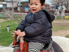 -田园东方蜜桃村的田野营地