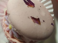 -好利来(牡丹园店)