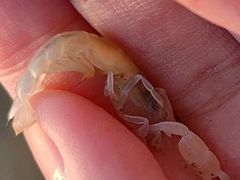 -东戴河风景区-止锚湾