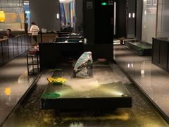 -淘米捞·米汤脆鲩鱼火锅(福田皇岗店)