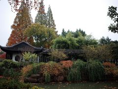 -红梅公园