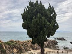 -小麦岛公园