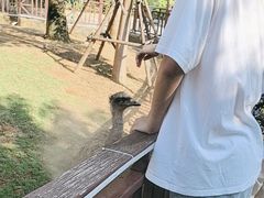 -灵玲国际马戏城