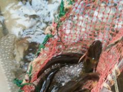 -水库活鱼馆(于桥水库店)