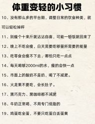 -Fundi张玉珊修身堂·indiba·BTL科技瘦身