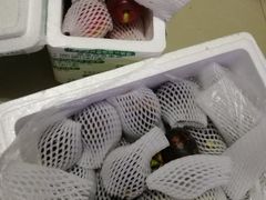 -菜园坝水果市场