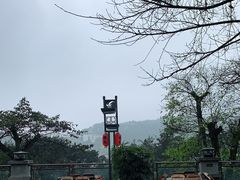 -老幺泉水鸡