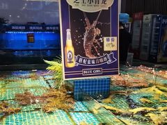 -驻海渔市(置信店)