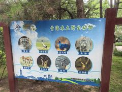 -青藏高原野生动物园