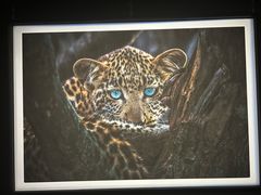 -罗红摄影艺术馆