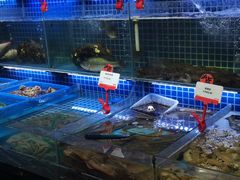 水产区-必点海鲜·鲅鱼水饺(鞍山西道店)