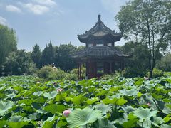 -莲池书院博物馆