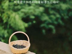 -御林古桑园