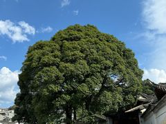 -和顺古镇